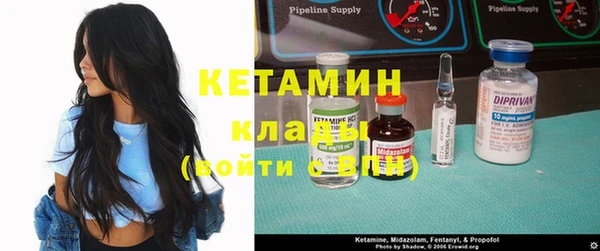 гашик Няндома