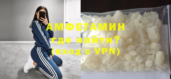 гашик Няндома