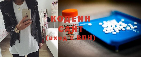 гашик Няндома