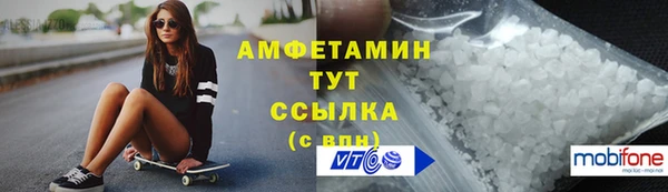 гашик Няндома