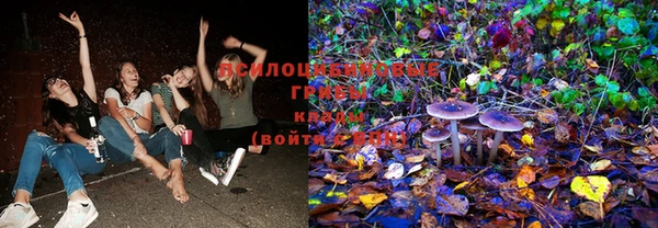 гашик Няндома