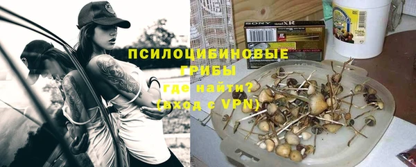 гашик Няндома