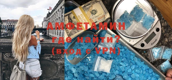 гашик Няндома