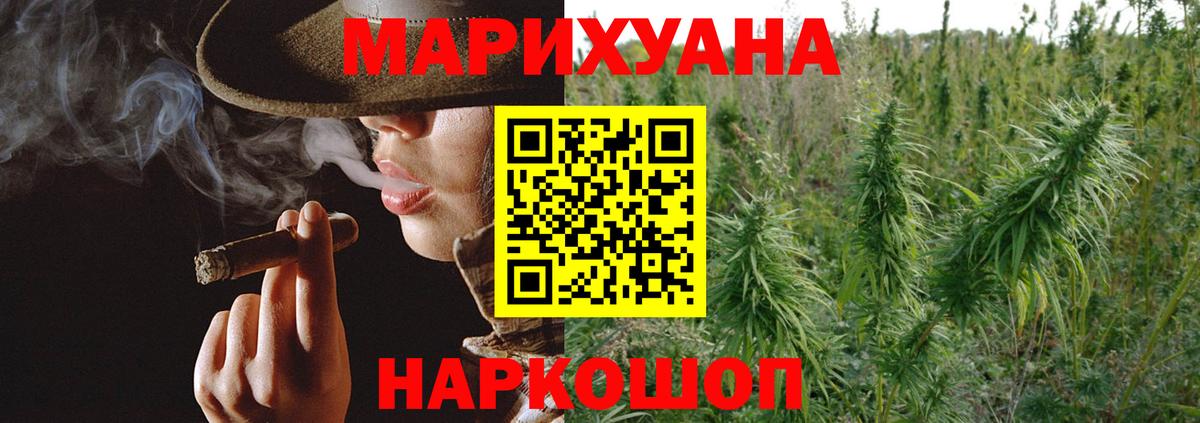 Бошки Шишки план Стрежевой